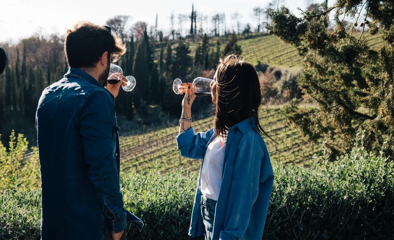 Chianti Wine Tour from Florence with Tastings