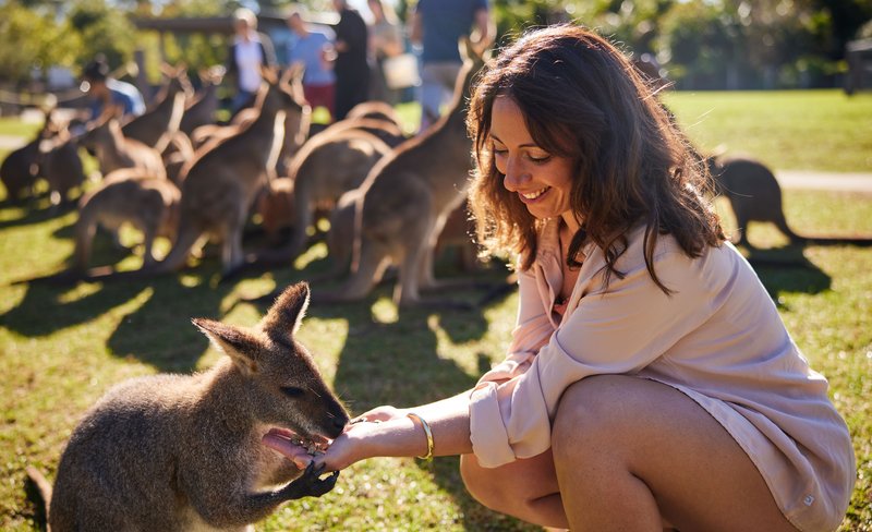 Wildlife, Waterfalls and Wine Tour from Sydney