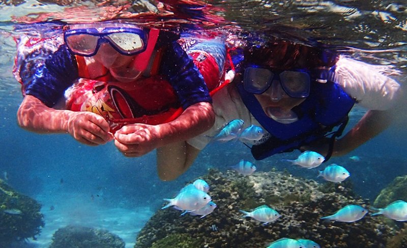 Premium Snorkeling Experience in Guam