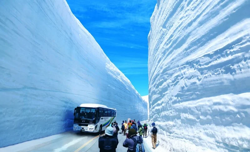 Tateyama-Kurobe Alpine Route Day Tour from Nagano