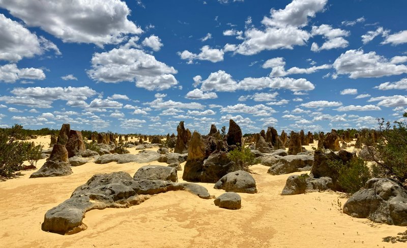 Pinnacles and Lancelin Sand Dunes Full Day Tour in Perth