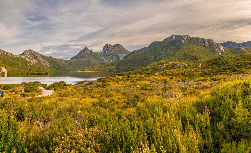 Cradle Mountain National Park Day Tour from Launceston