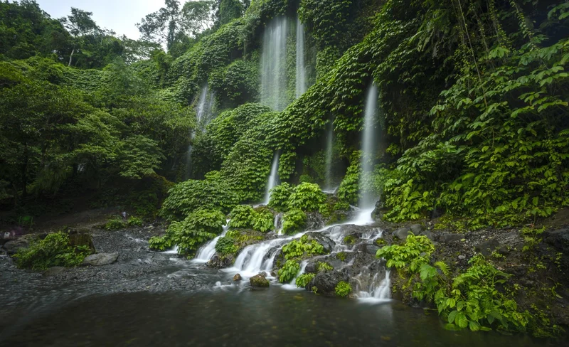 Lombok Waterfalls and Monkey Forest Private Day Tour