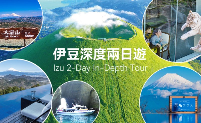 Mount Omuro & Izu Panorama Park & Donoshima Cruise & Izu Animal Kingdom 2-Day Tour (Departure from Tokyo)