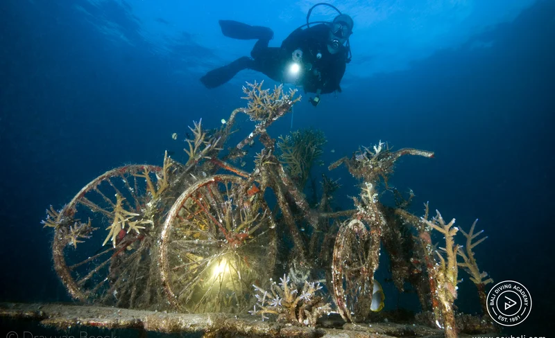 Bali's Dive Mastery: Advanced Open Water Course with PADI 5* Center