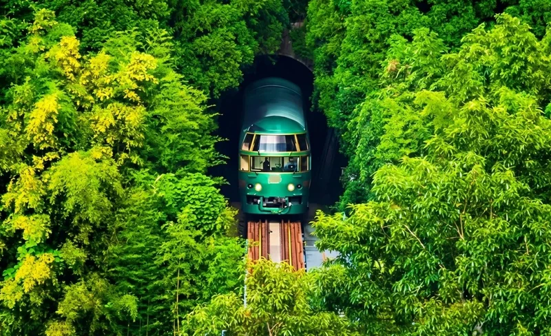 Yufuin no Mori Train Experience | Beppu Hell Tour + Kyushu Natural Animal Park + Yufuin Day Trip (Chinese and English Guides)