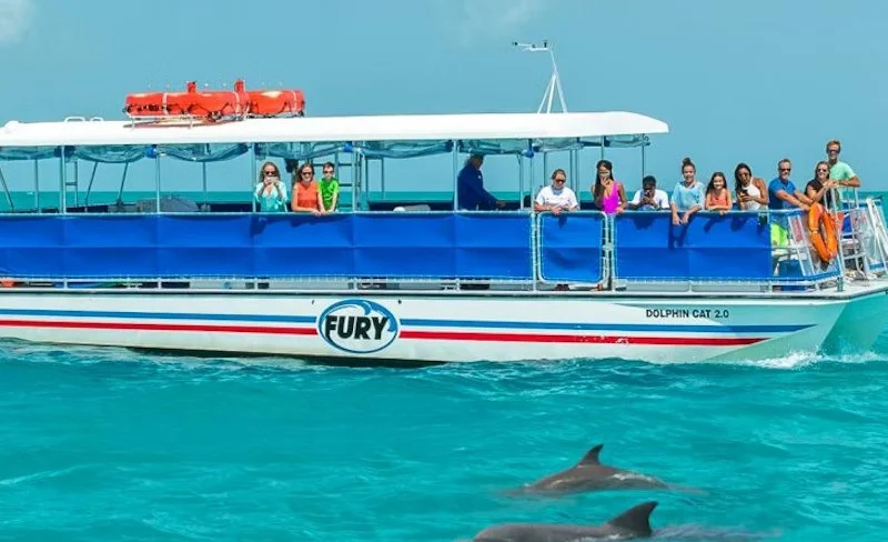Dolphin Watching and Snorkeling Experience in Key West