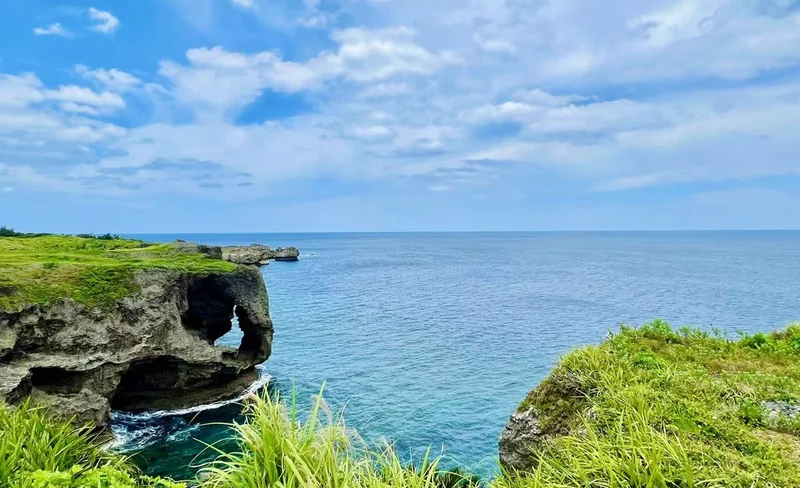 Okinawa Churaumi Aquarium & Cape Manza Day Trip (Including Tickets)