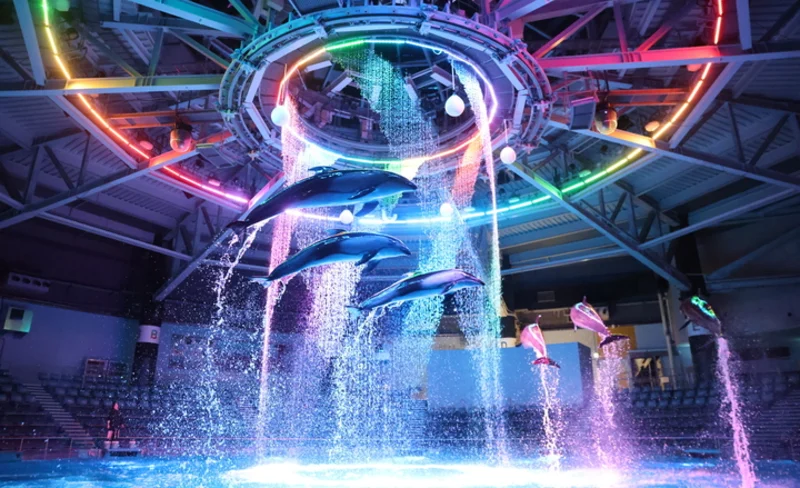 Aqua Park Shinagawa Ticket Tokyo