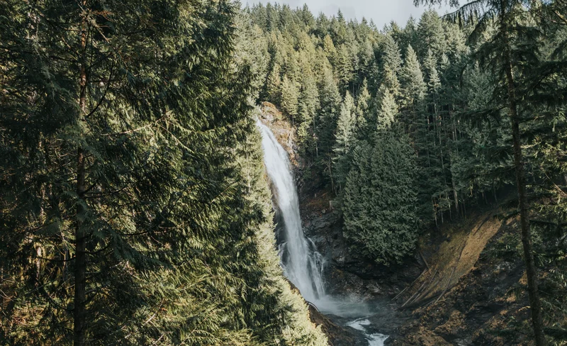 Wallace Falls Rainforest and Waterfall Hiking Tour From Seattle