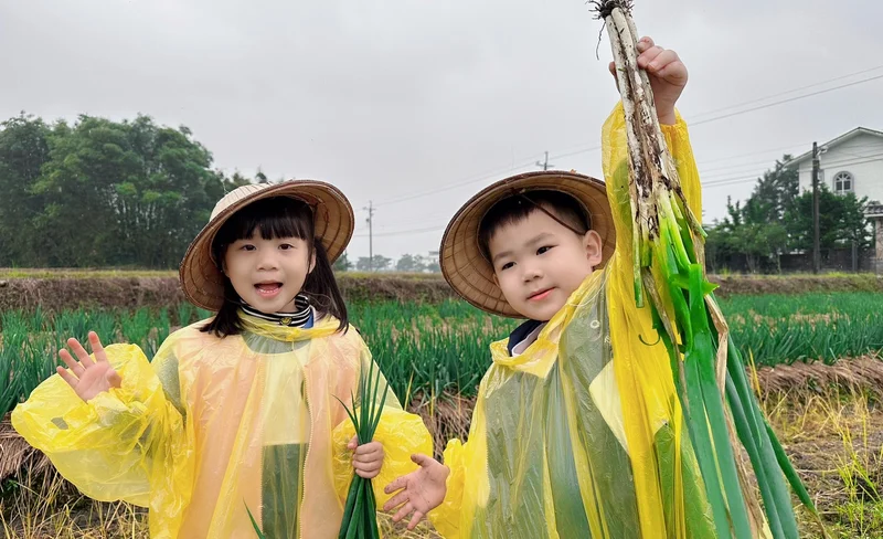 Yilan: Farmer's Scallion Experience Farm - Sanxing Scallion Farm Half-Day Tour