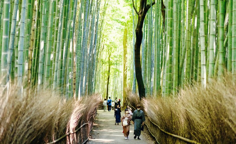 Arashiyama Walking Tour – Bamboo Forest, Monkey Park & Secrets