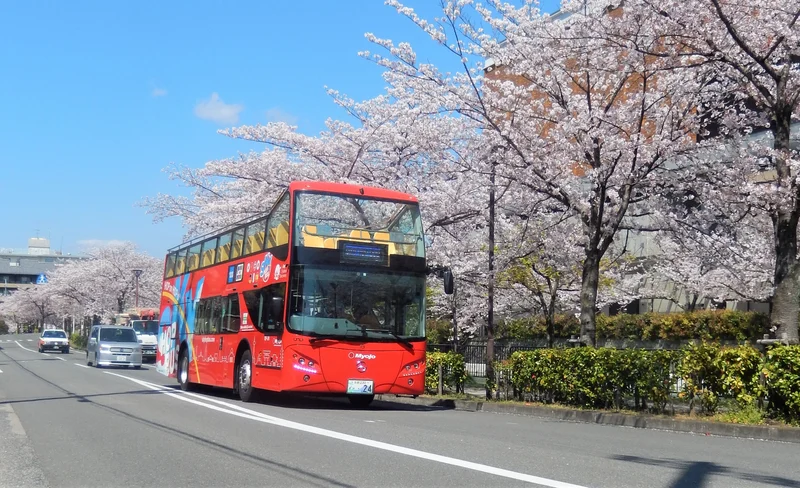 京都スカイホップバス乗り降り自由パス お得な1日/2日間有効チケット