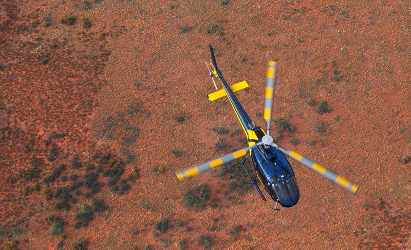 Kings Canyon & Uluru, Kata Tjuta Air Safari by Helicopter Experience