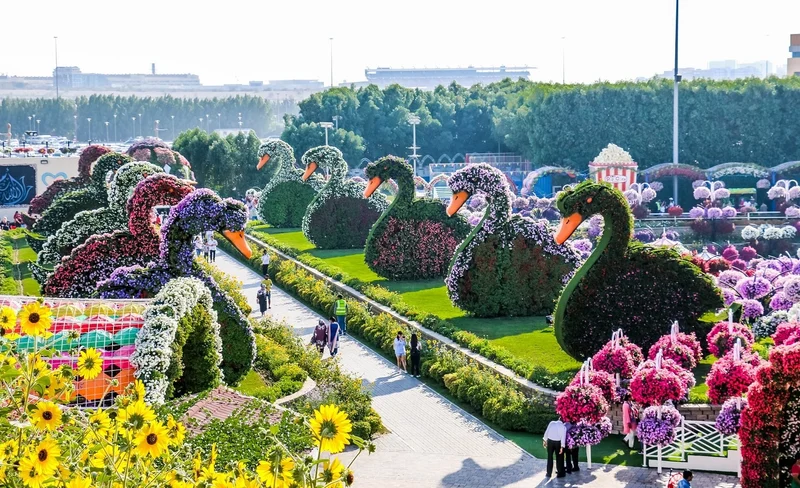Dubai Miracle Garden Ticket