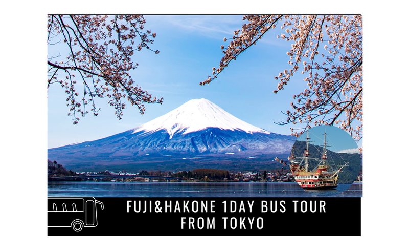 Mt. Fuji & Hakone Day Tour from Tokyo