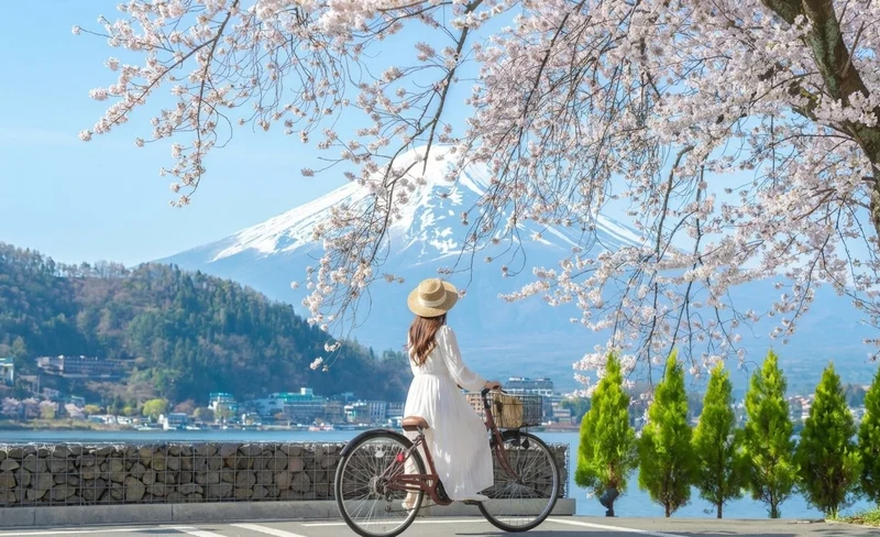 Mount Fuji popular one-day tour | Kawaguchiko Ropeway & Lawson convenience store & Oshino Hakkai & Arakurayama Sengen Park (Departure from Tokyo/Shinjuku)