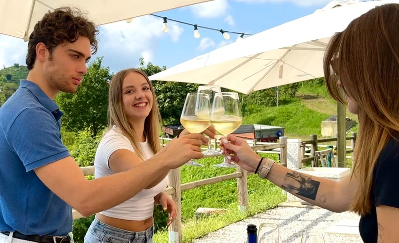 Best Tour to the Prosecco Hills and Wine Tasting