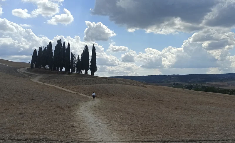 Val d'Orcia wine & cheese tasting experience from Florence