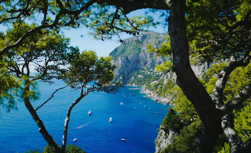 Amalfi Coast Delights: Positano, Ravello and Amalfi Private Guided Tour