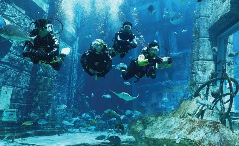 Atlantis Scuba Diving Experience at The Lost World Aquarium Dubai