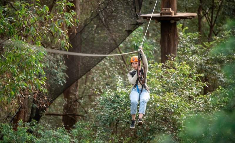 Tree Ropes Course and Net World Experience in Central Coast