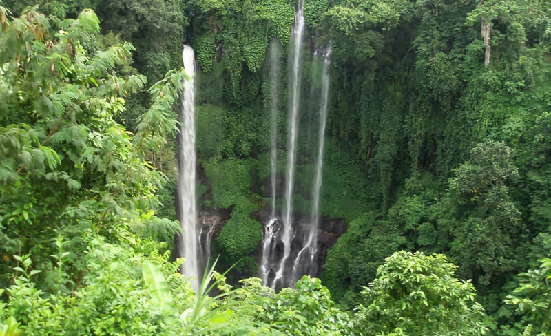 Bali Hidden Waterfalls Trip