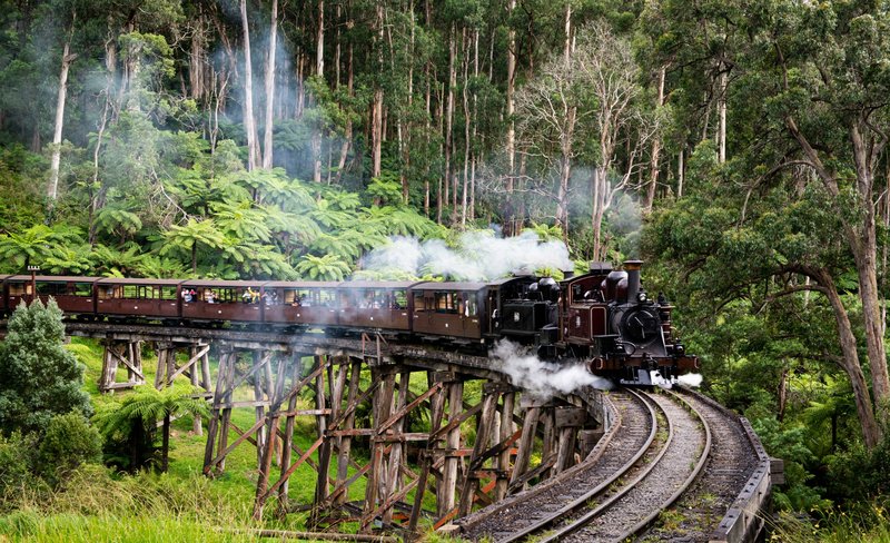 Puffing Billy and Healesville Sanctuary Day Tour from Melbourne