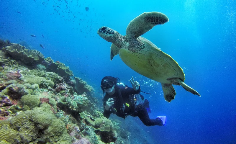Nusa Penida Dive Delight: 3 Dives Full-Day Trip with PADI 5* Center