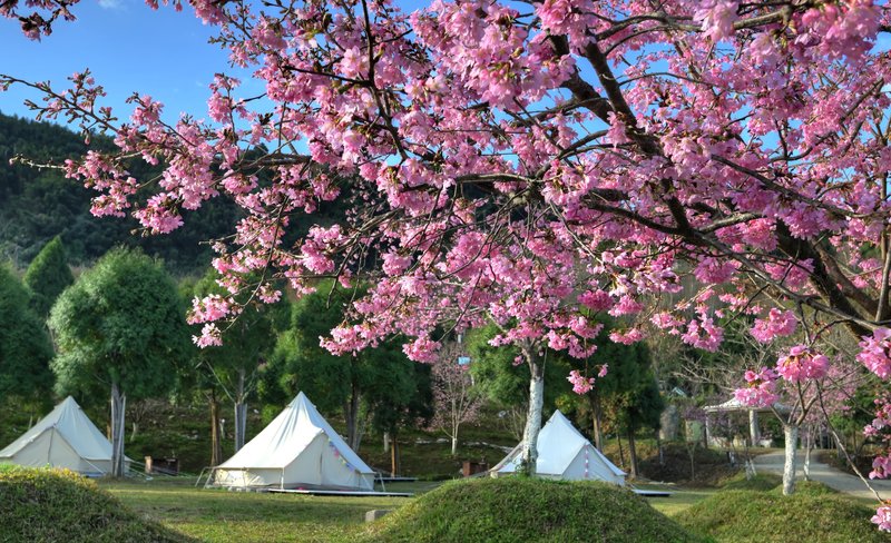 Fall in Love with Xiong Glamping in Hsinchu