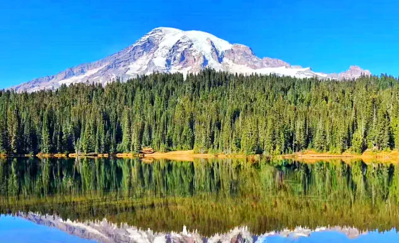 Seattle Mount Rainier National Park Full-Day Tour