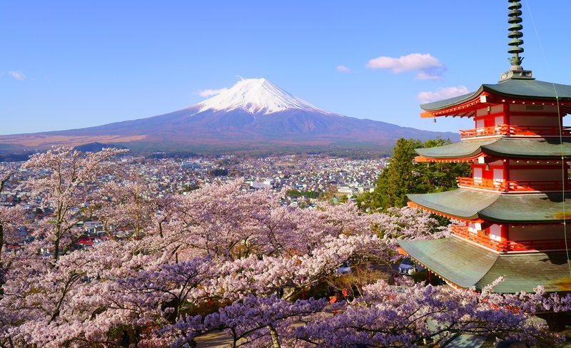 Mt. Fuji and Lake Kawaguchi Scenic Spots Day Tour from Tokyo
