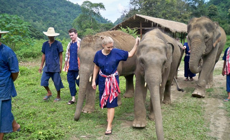 Elephant Sanctuary with Trekking, ATV, Zipline, and Rafting Adventure in Chiang Mai