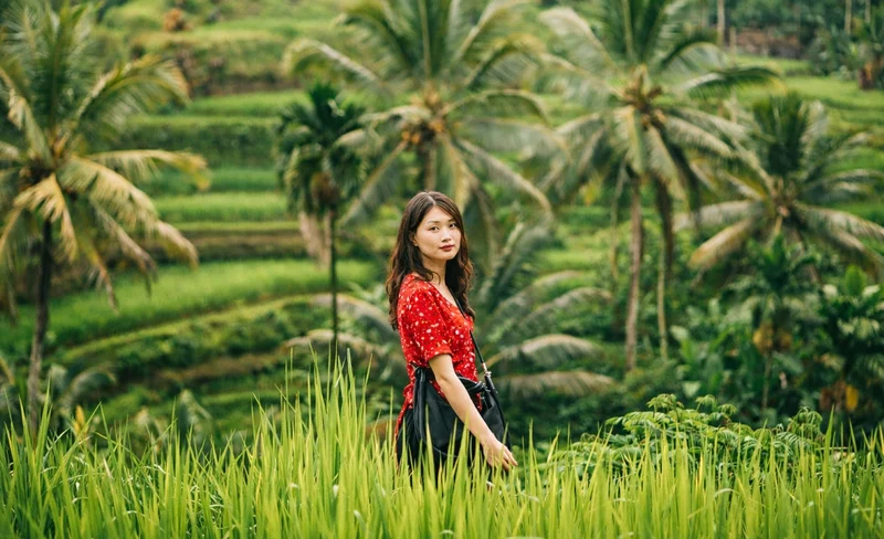 Bali Highlights Customizable Private Day Tour All-Inclusive