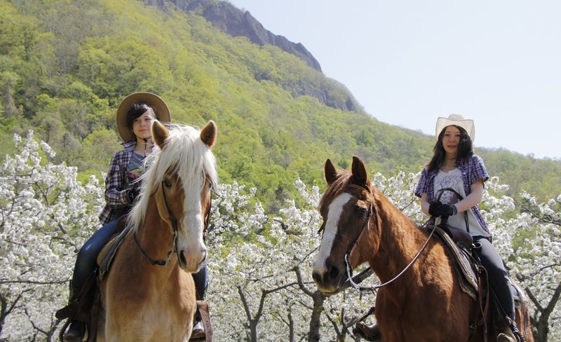 Sapporo Horseback riding experience!