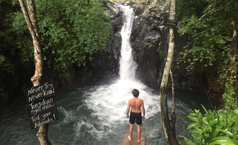 North Bali Waterfalls and Rice Field Trekking Day Tour