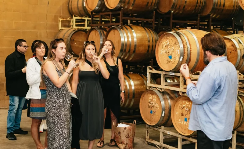 Wine Tasting Tour from San Francisco