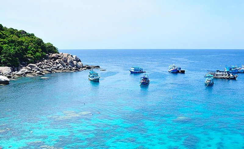 From Samui: Koh Tao and Koh Nangyuan Day Tour with Snorkeling Experience by Catamaran