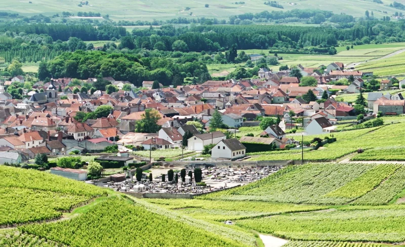 Champagne Region Day Tour with Wine Tastings from Paris