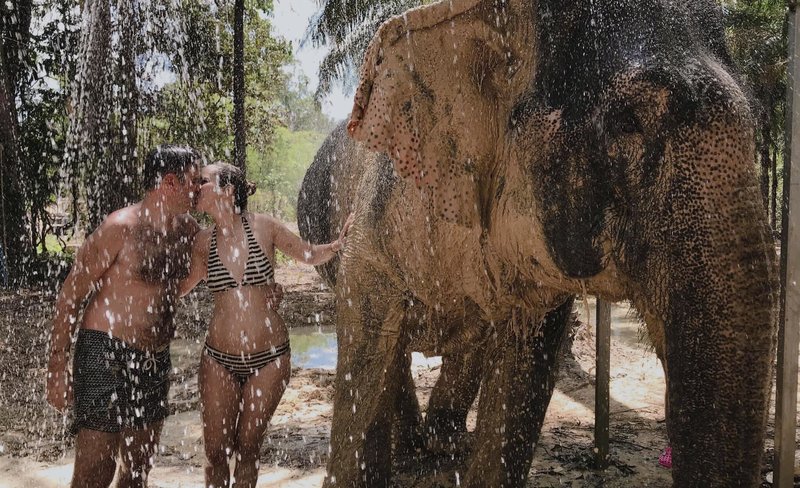 The Elephant Sanctuary Krabi Experience with Transfer