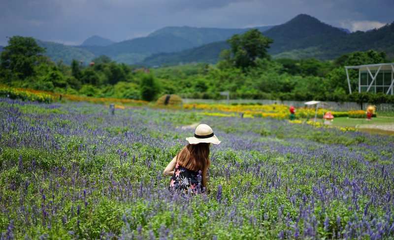 Khao Yai All-Time Favorites Private Car Charter Tour from Bangkok By TTD