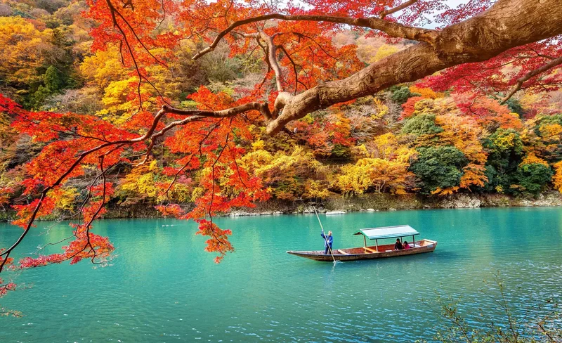 Osaka Departure丨Kansai Region Customized Private Car Day Tour (Osaka/Kyoto/Nara/Kobe/Wakayama)