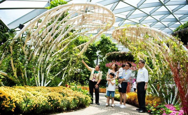 Best of Jewel Changi Airport Tour