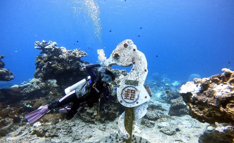 台東｜綠島私家潛水旅宿｜體驗潛水・OW初階潛水員課程