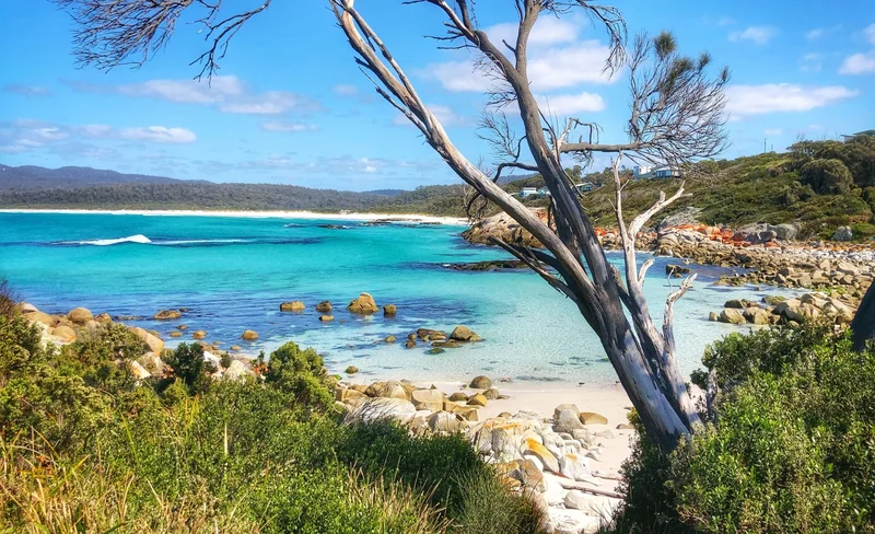Bay of Fires & Binalong Bay Full-Day Tour