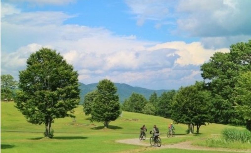 Mountain Bike Tour in Hachimantai