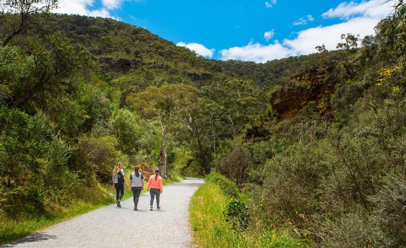 Morialta Wilderness and Wildlife Hike in Adelaide