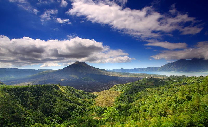 Ubud and Kintamani Private Trip with Korean Speaking Driver