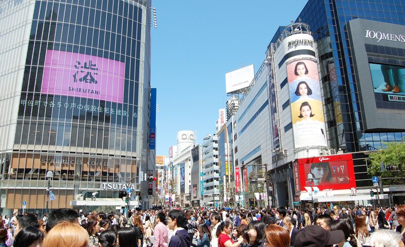 Tokyo Shopping Private Tour by Chartered Car