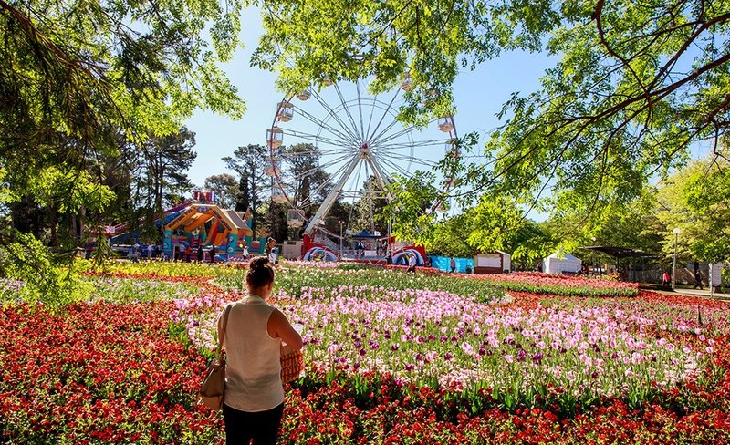Canberra Floriade Flower Festival Day Tour from Sydney